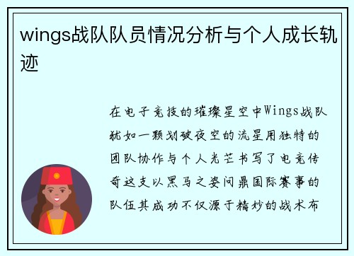 wings战队队员情况分析与个人成长轨迹
